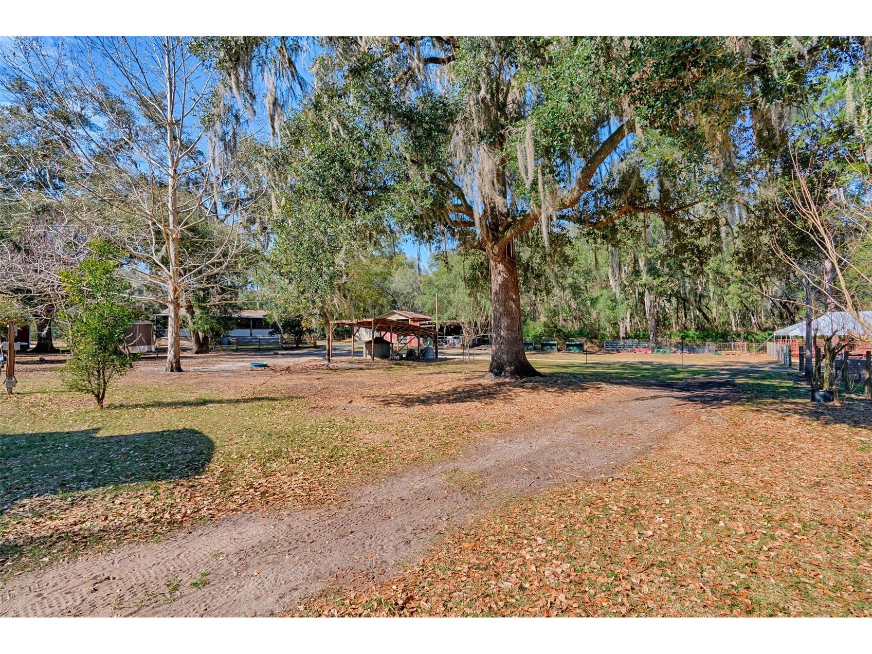 1208 N County Road 315 Melrose FL 32666 GC537475 image40