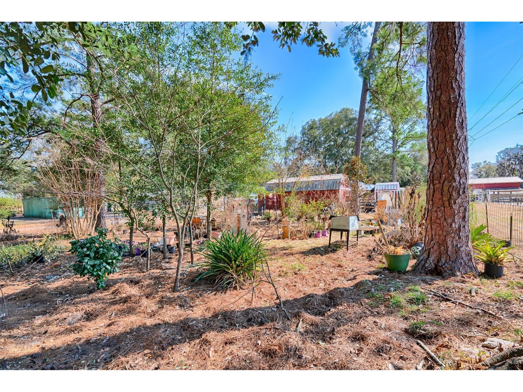1208 N County Road 315 Melrose FL 32666 GC537475 image43