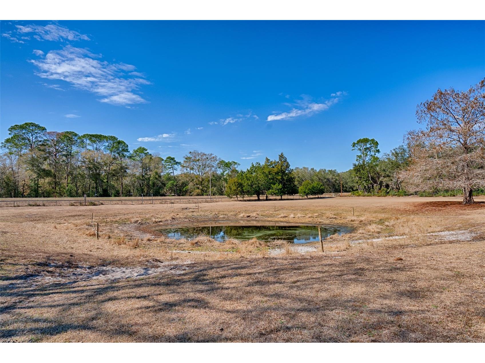 1208 N County Road 315 Melrose FL 32666 GC537475 image46