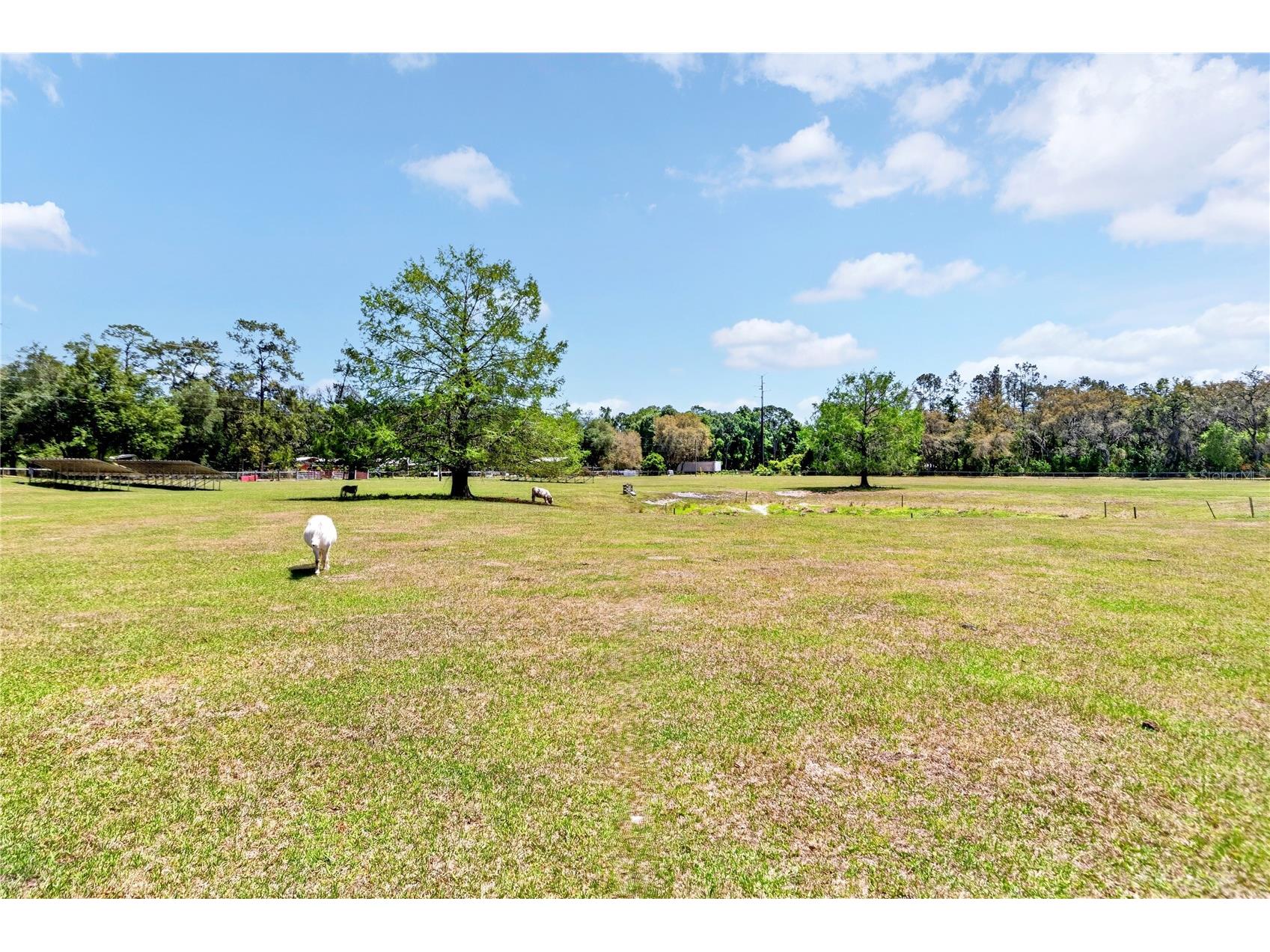1208 N County Road 315 Melrose FL 32666 GC537475 image53