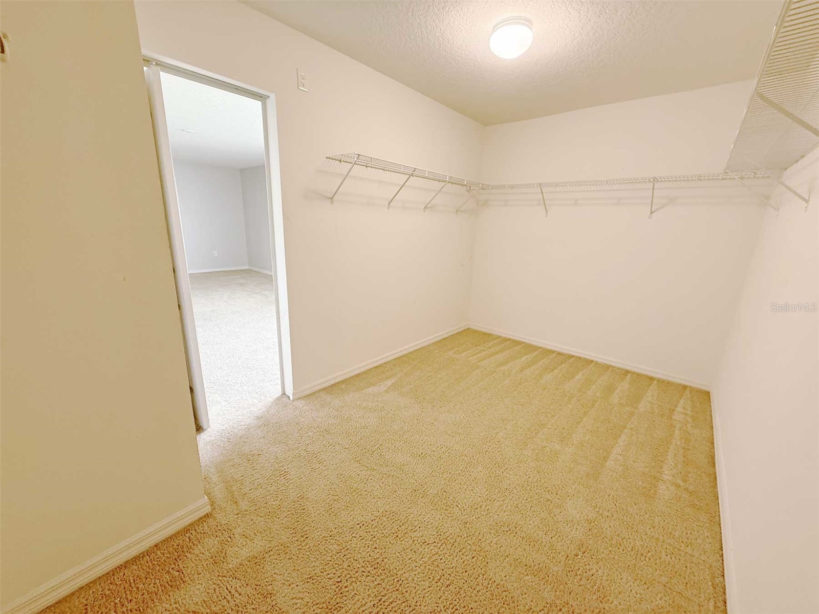 1208 Sawgrass Pointe Drive Orlando FL 32824 O6385473 image28