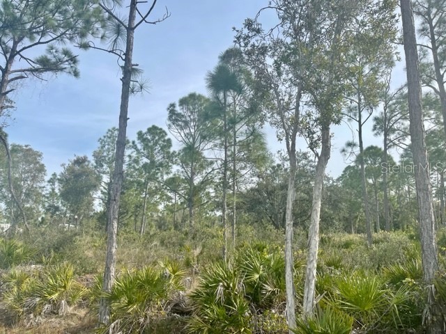 12082 Venetian Drive Punta Gorda FL 33955 D6134083 image1