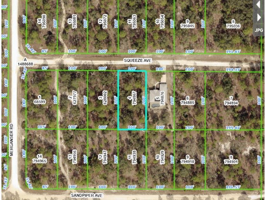 12084 Squeeze Avenue Weeki Wachee FL 34614 W7852842 image1