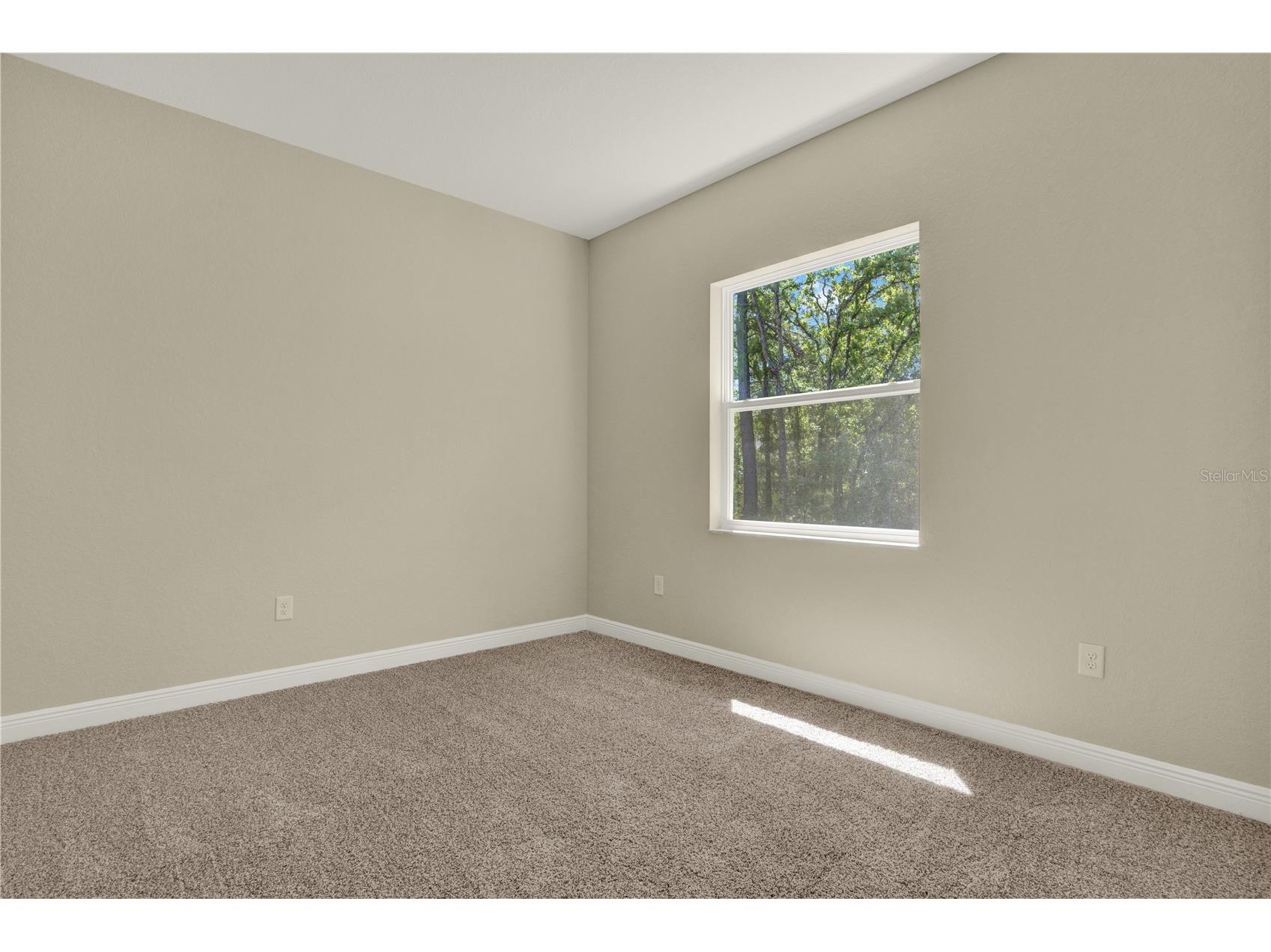 12085 Harris Hawk Road Brooksville FL 34614 TB8469311 image23