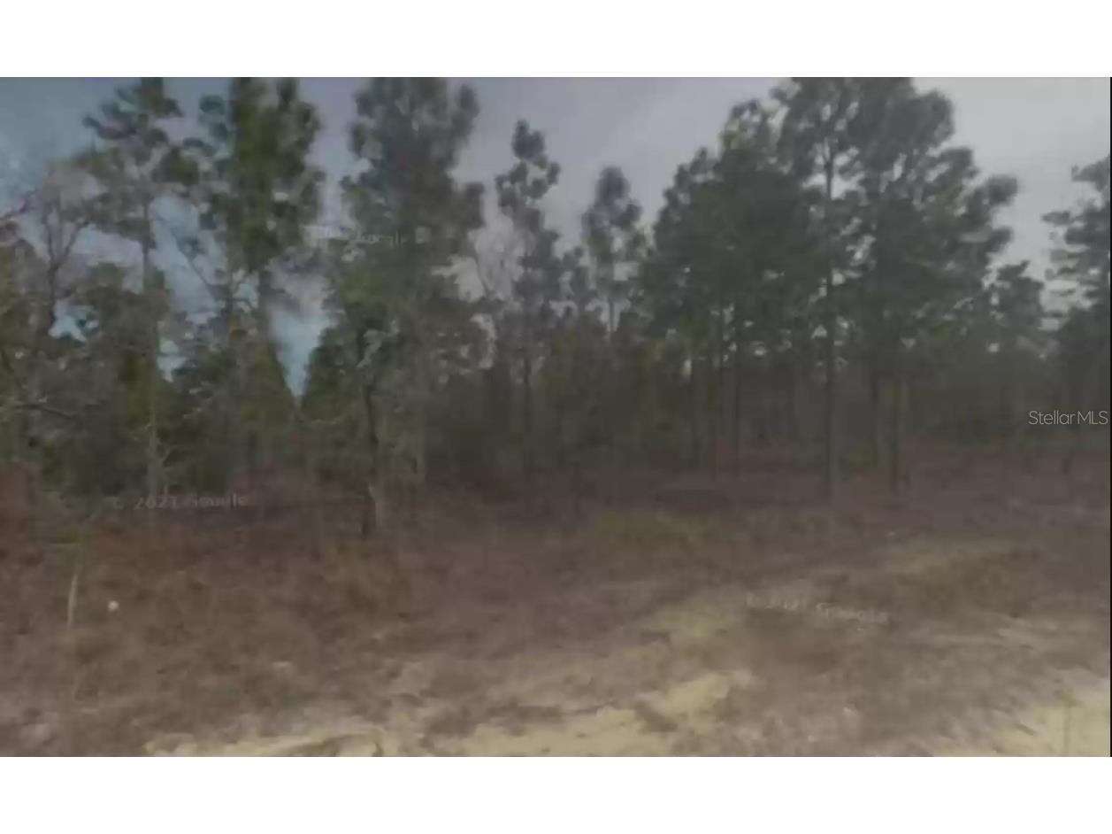 12085 Raschke Road Brooksville FL 34614 W7848984 image1