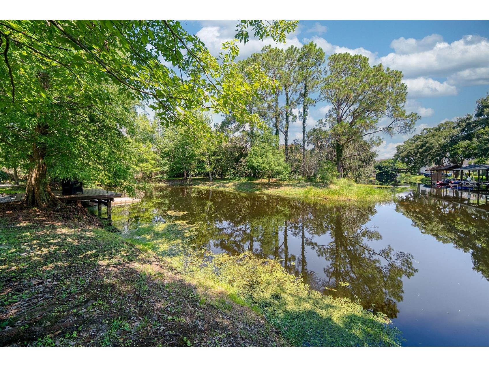 12085 Sandy Shores Drive Windermere FL 34786 - BUTLER CHAIN OF LAKES O6426164 image5