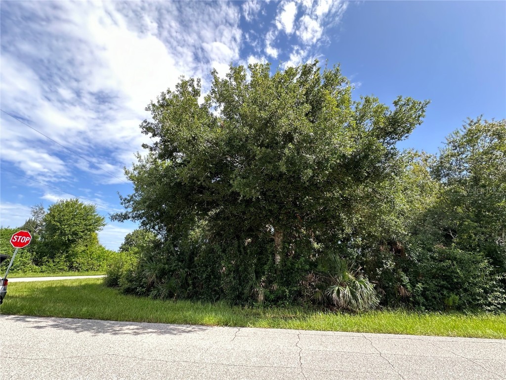 12088 Henley Avenue Port Charlotte FL 33981 C7497001 image1