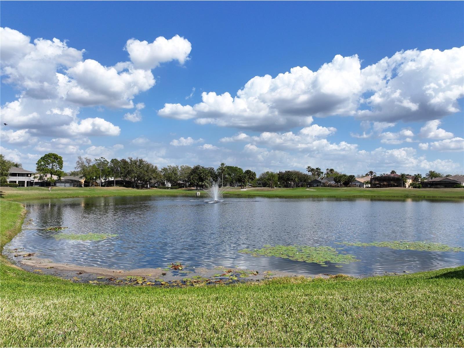 1209 Castleport Road Winter Garden FL 34787 O6390760 image29