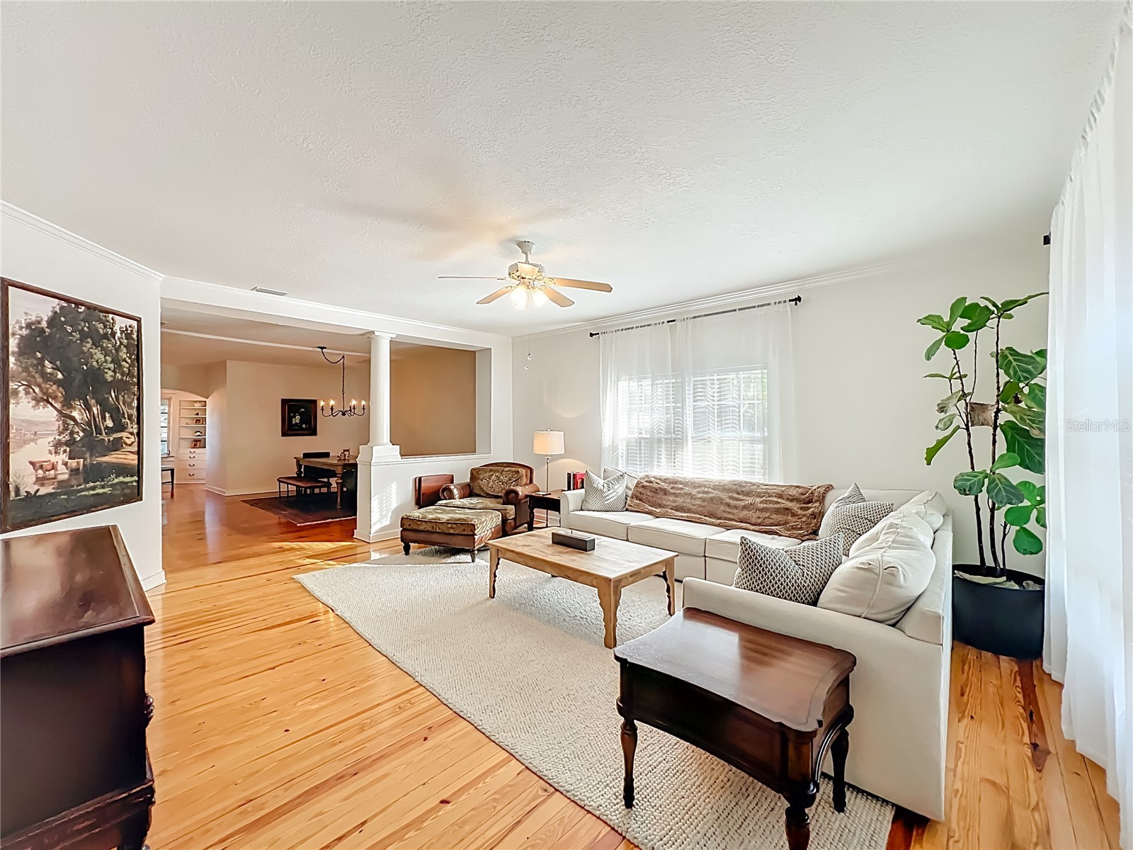 1209 Clouser Avenue Orlando FL 32804 O6395071 image4