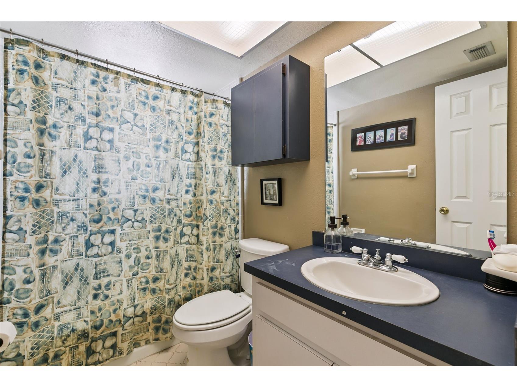 1209 Deer Run Drive Winter Springs FL 32708 O6420511 image28