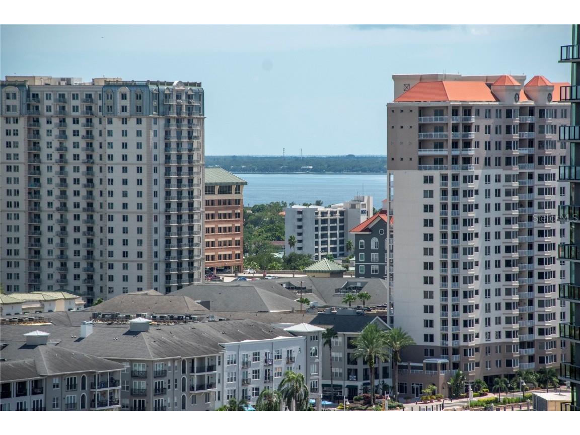 1209 E Cumberland Avenue #1701 Tampa FL 33602 TB8458710 image66