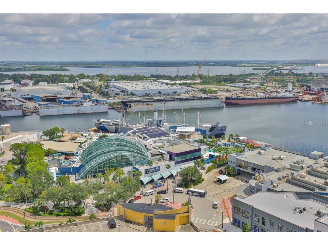 1209 E Cumberland Avenue #2404 Tampa FL 33602 TB8434073 image46