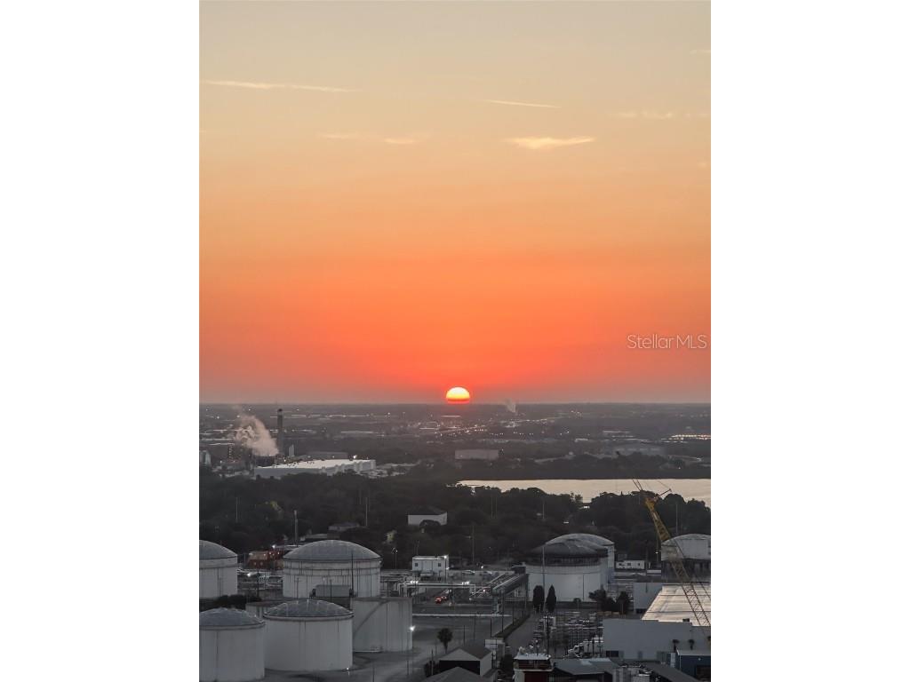 1209 E Cumberland Avenue #2404 Tampa FL 33602 TB8434073 image49