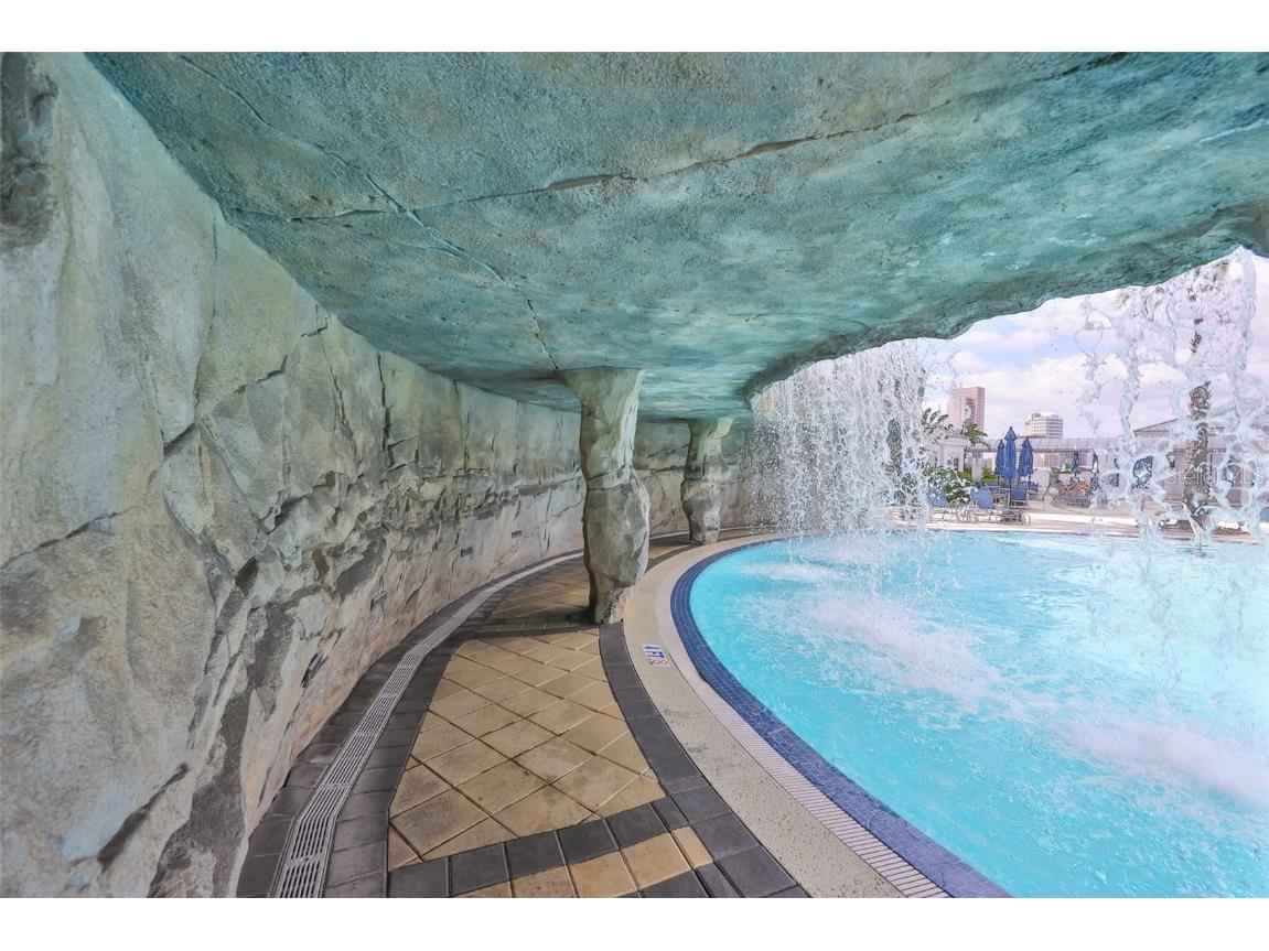 1209 E Cumberland Avenue #2404 Tampa FL 33602 TB8434073 image55