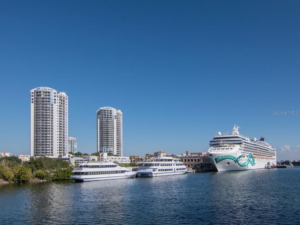 1209 E Cumberland Avenue #2602 Tampa FL 33602 T3429792 image1