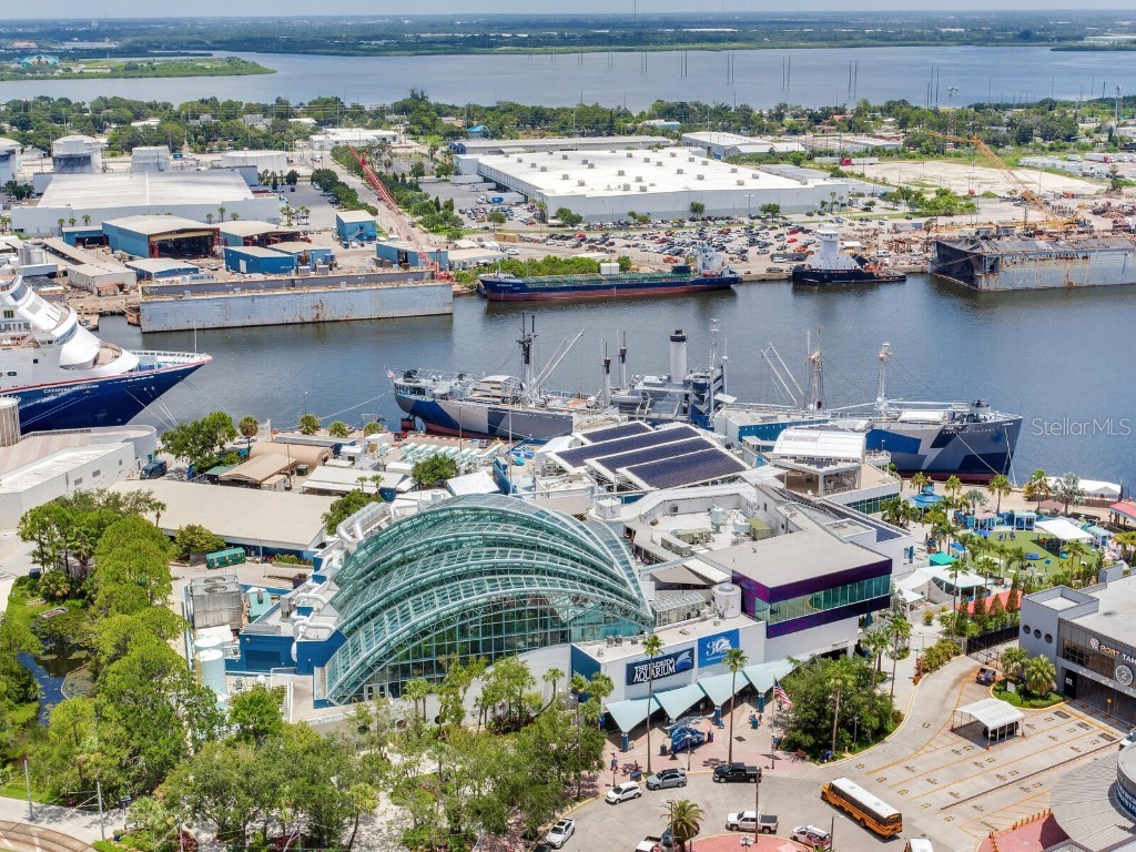 1209 E Cumberland Avenue #2902 Tampa FL 33602 TB8410508 image37