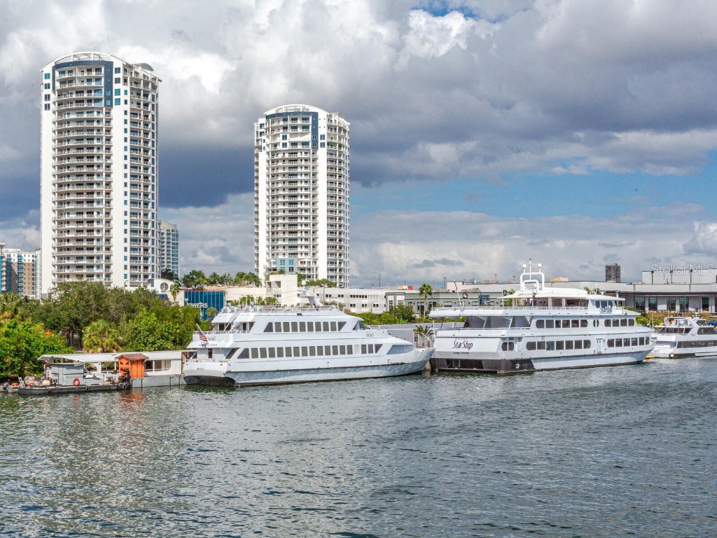 1209 E Cumberland Avenue #2902 Tampa FL 33602 TB8410508 image38