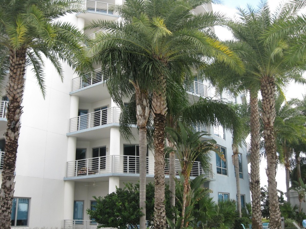 1209 E Cumberland Avenue #707 Tampa FL 33602 - CRUISE PORT AND HARBOR ISLAND U8198498 image1