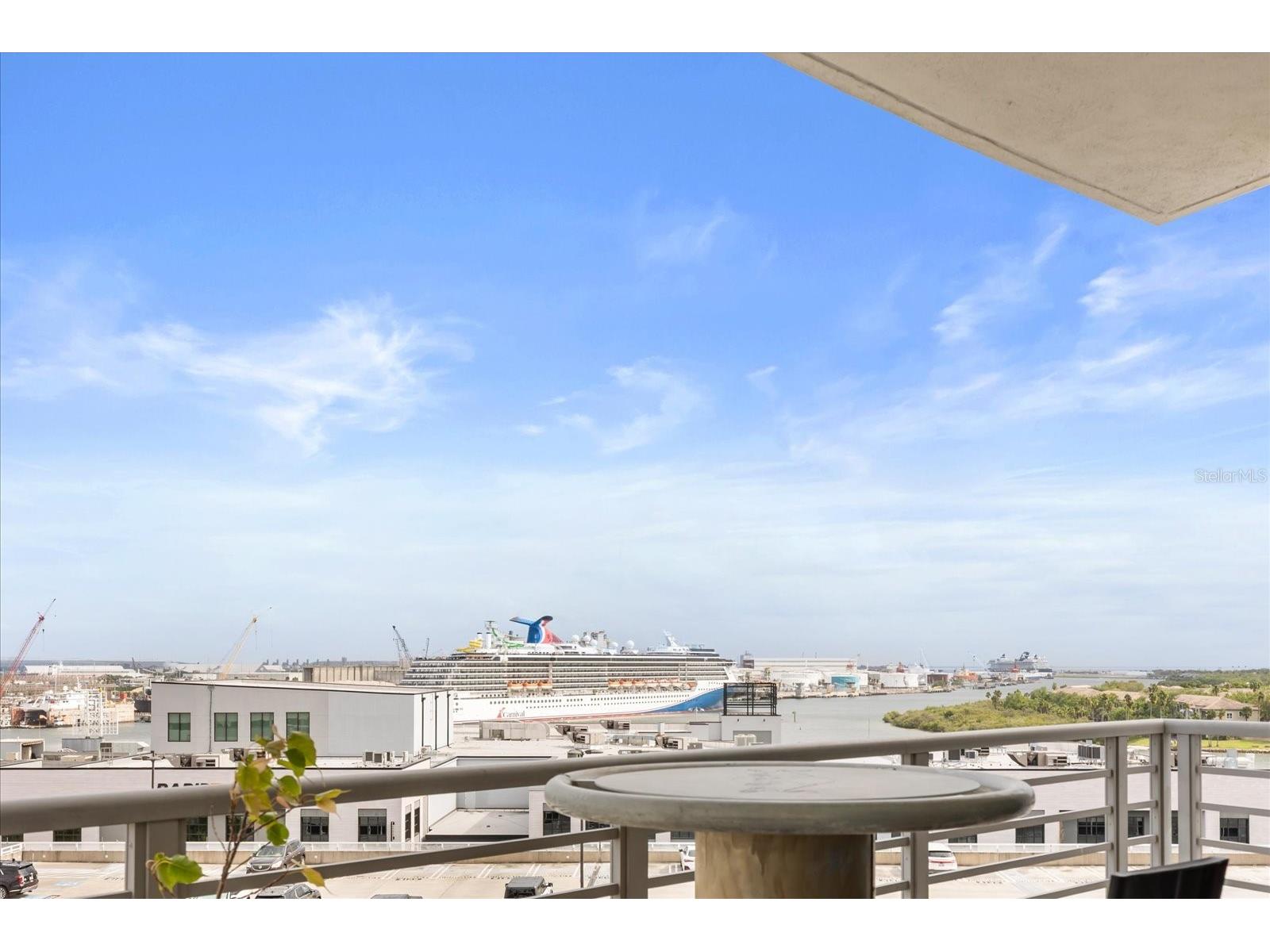 1209 E Cumberland Avenue #807 Tampa FL 33602 TB8491213 image22