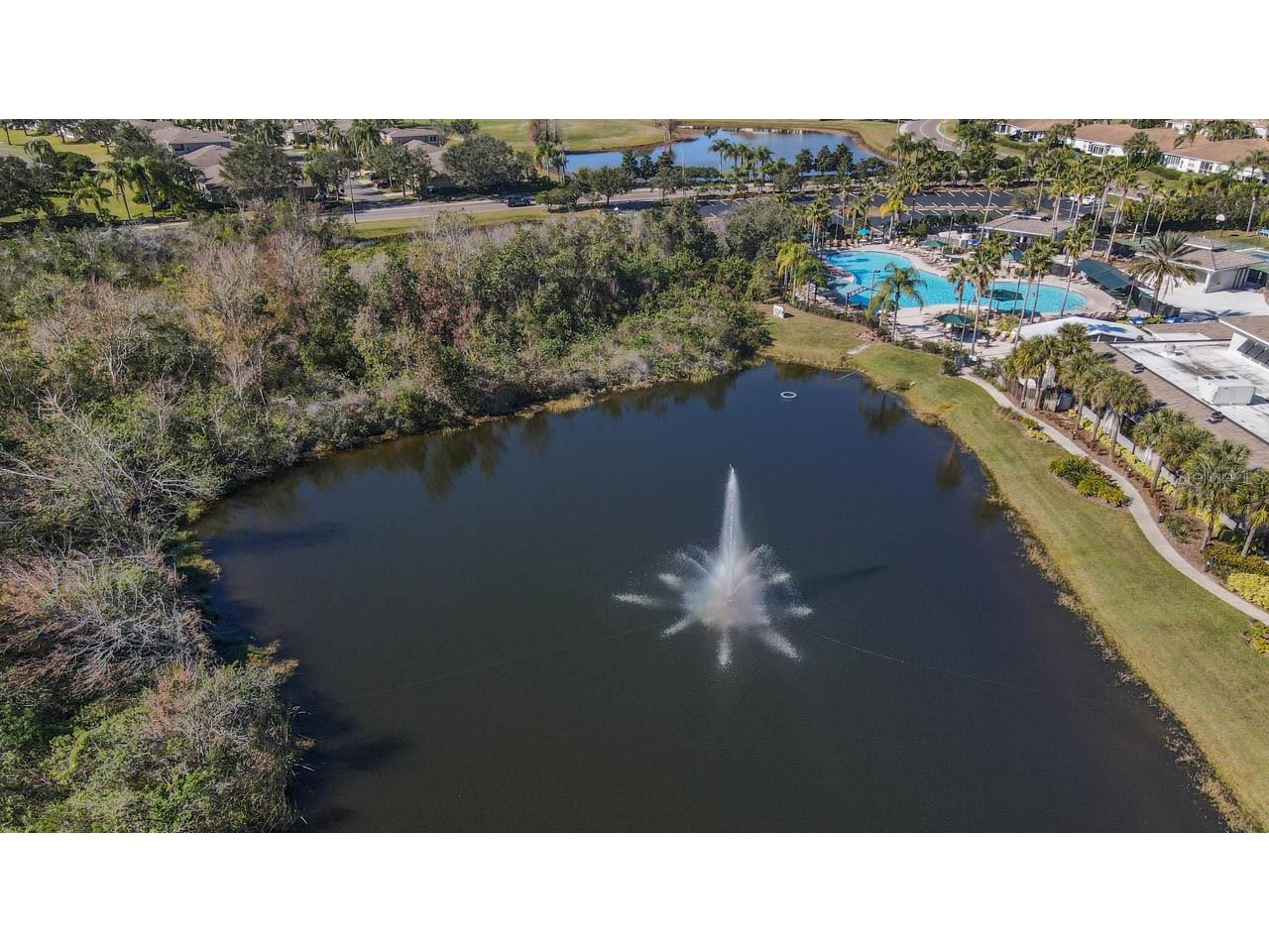 1209 Litchfield Drive #42 Sun City Center FL 33573 TB8443420 image37