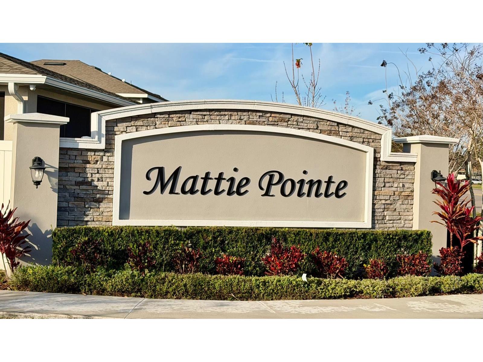1209 Mattie Pointe Boulevard Auburndale FL 33823 P4937496 image43