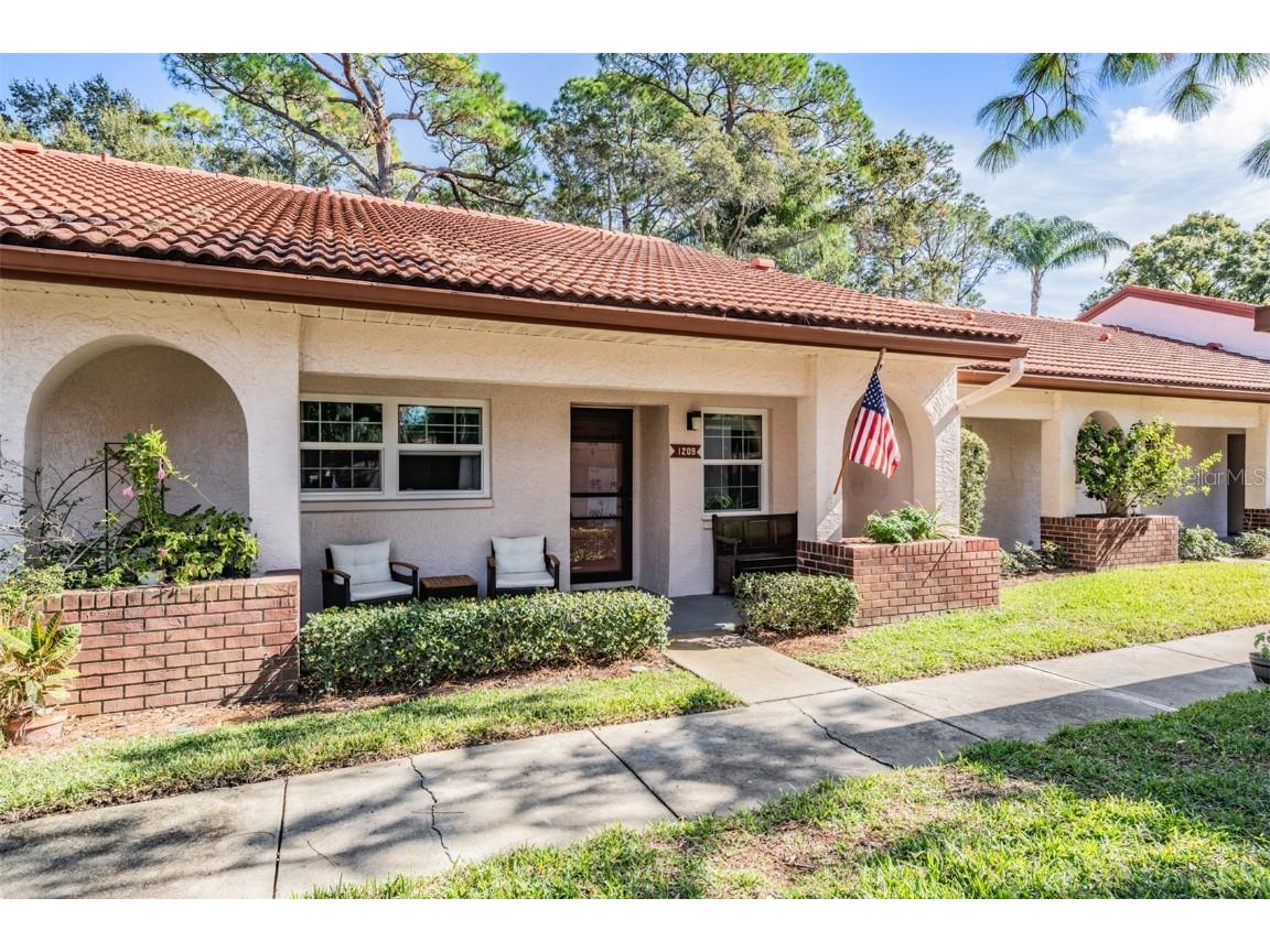 1209 Montrose Place Dunedin FL 34698 T3489278 image1