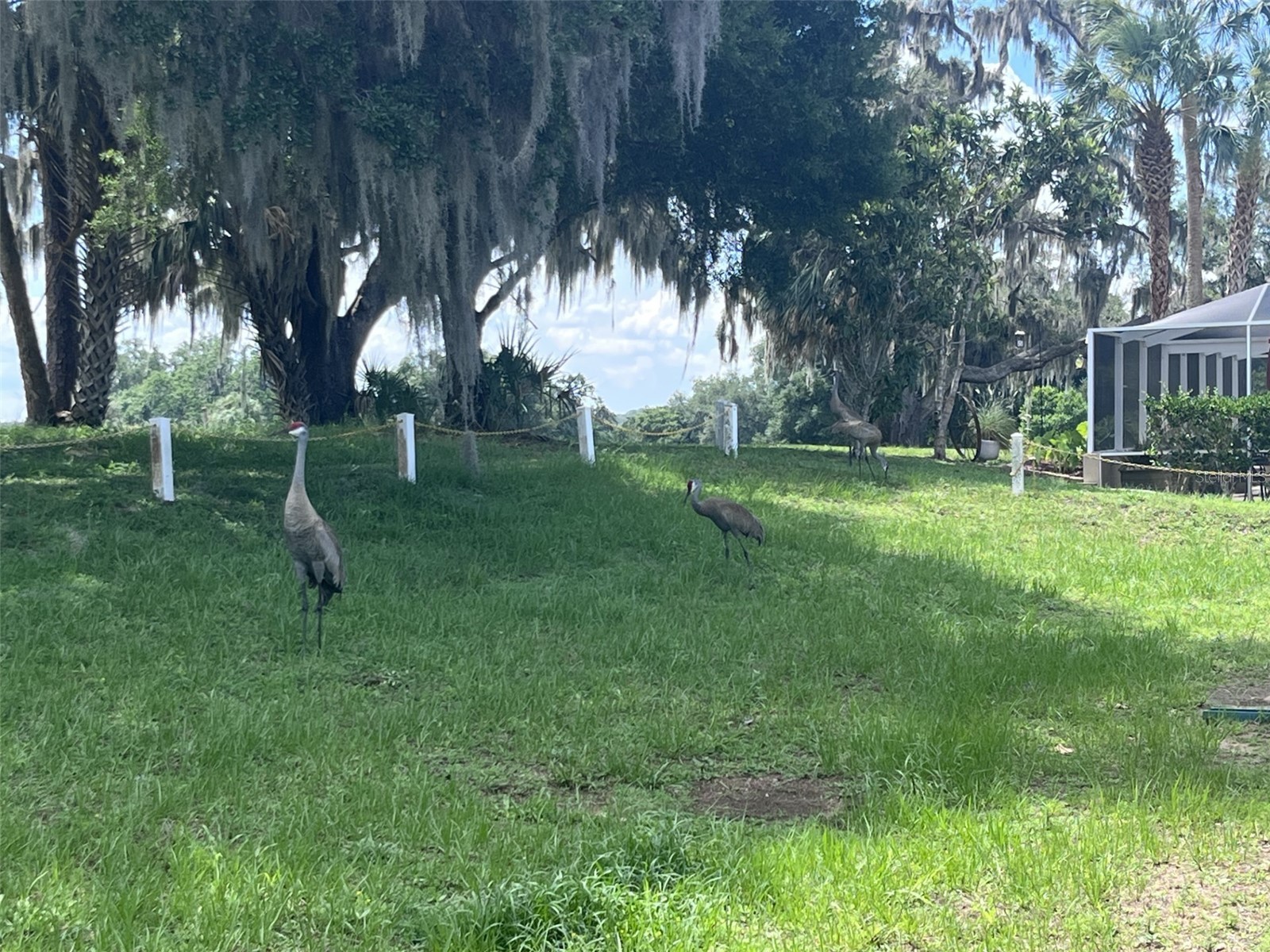 1209 N Timucuan Trail Inverness FL 34453 OM724548 image36