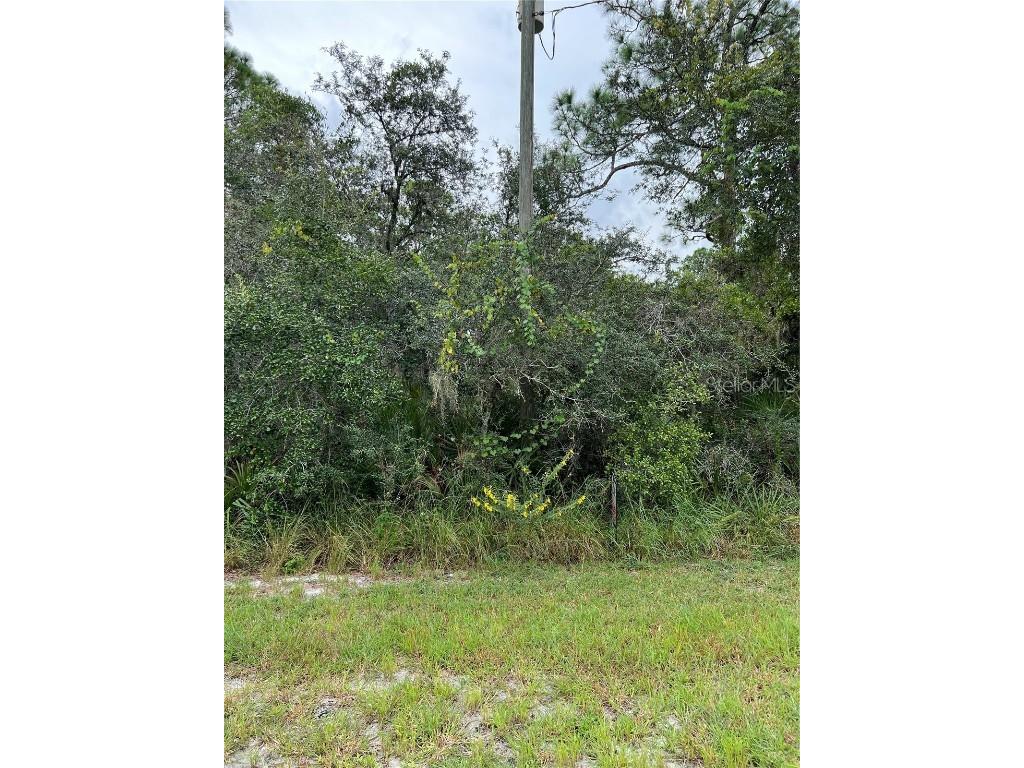 1209 Van Buren Street Lake Placid FL 33852 S5091905 image1