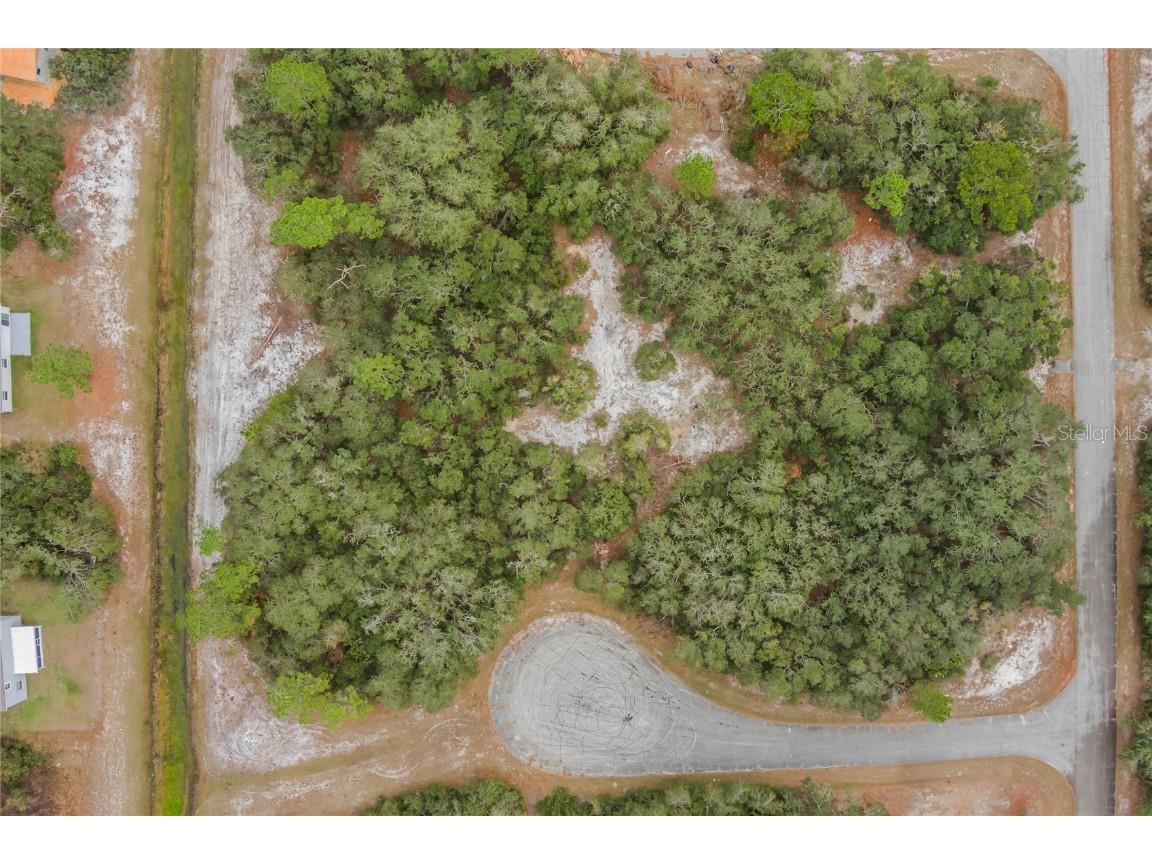 1209 Vernon Way Kissimmee FL 34759 S5133377 image4