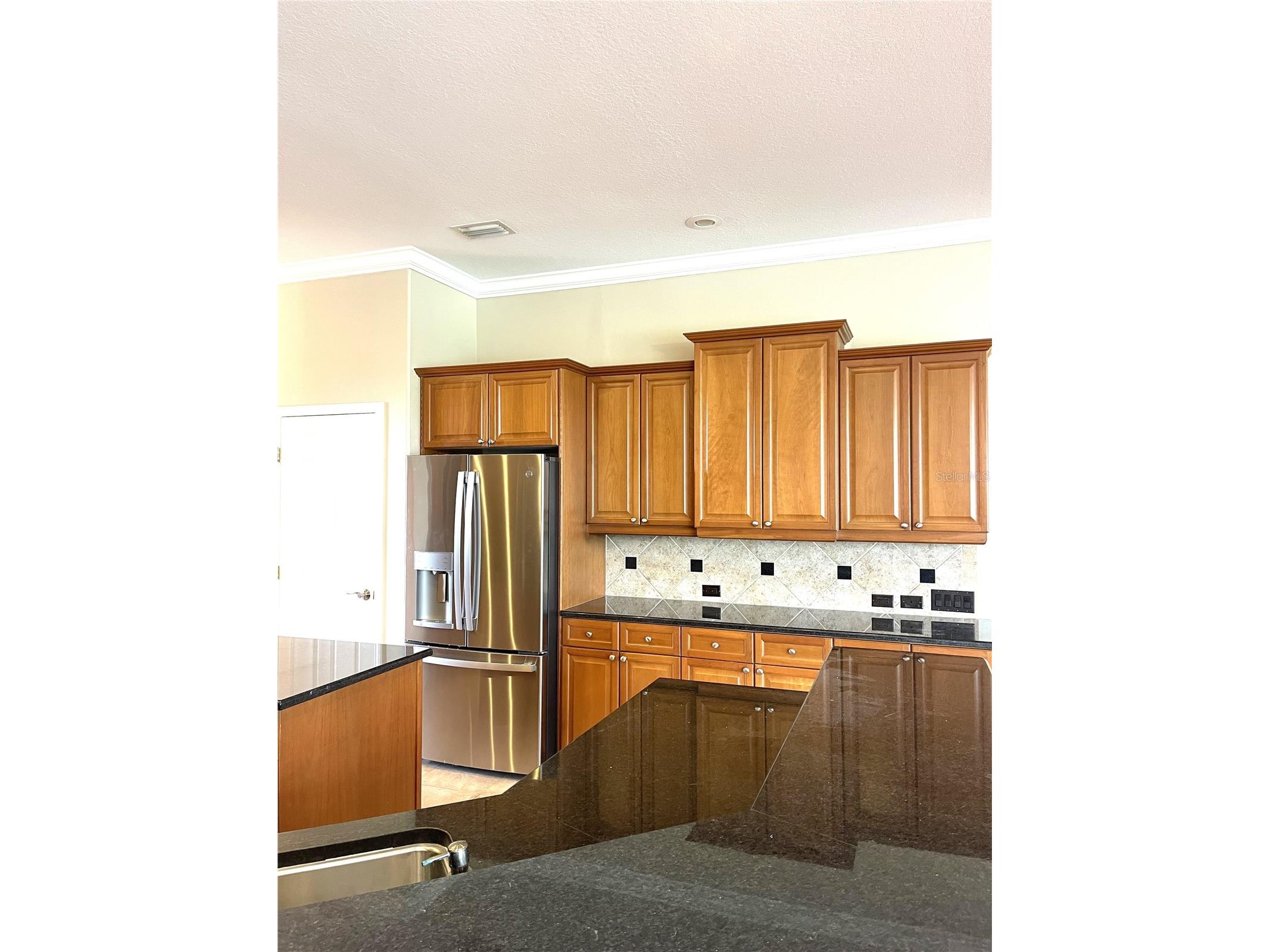 1209 Vista Hills Drive Lakeland FL 33813 L4961860 image25
