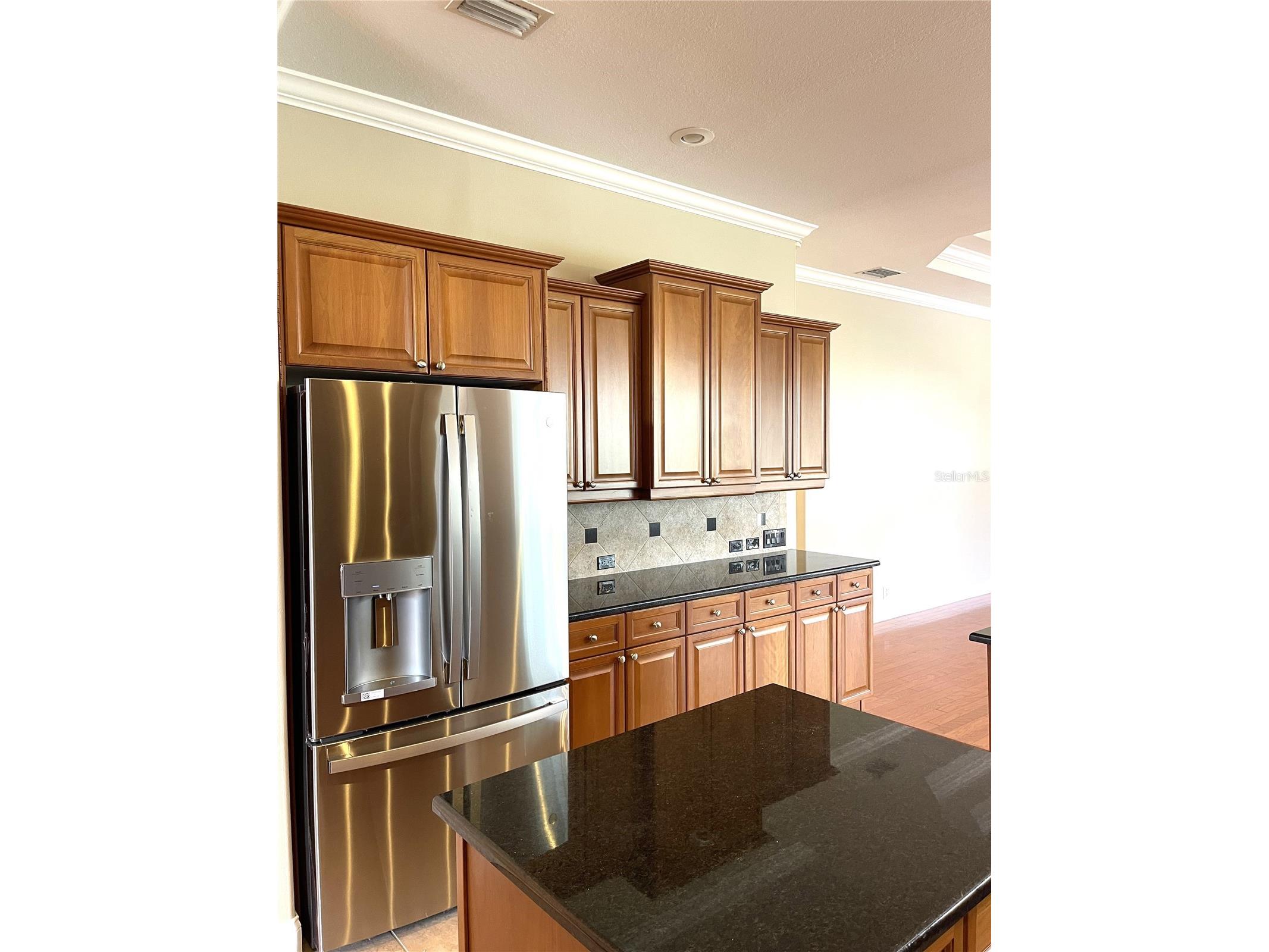 1209 Vista Hills Drive Lakeland FL 33813 L4961860 image28