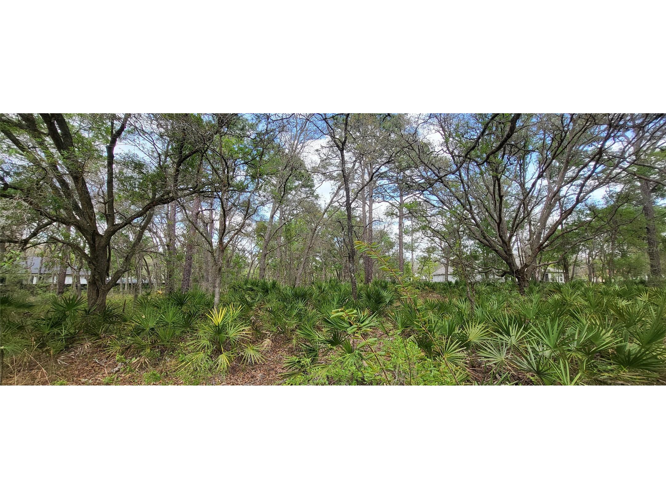 12090 Osprey Avenue Weeki Wachee FL 34614 W7882641 image4