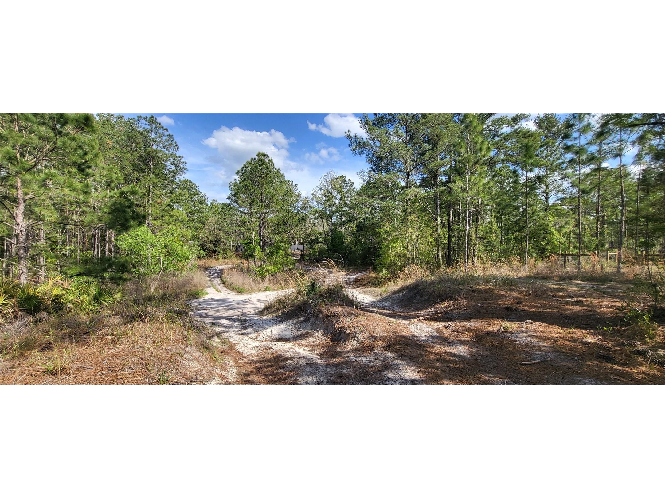 12090 Osprey Avenue Weeki Wachee FL 34614 W7882641 image7