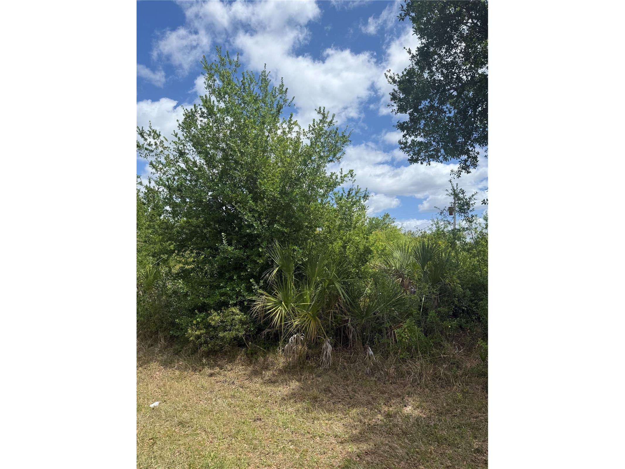 12090 Zittle Avenue Port Charlotte FL 33981 A4692596 image1