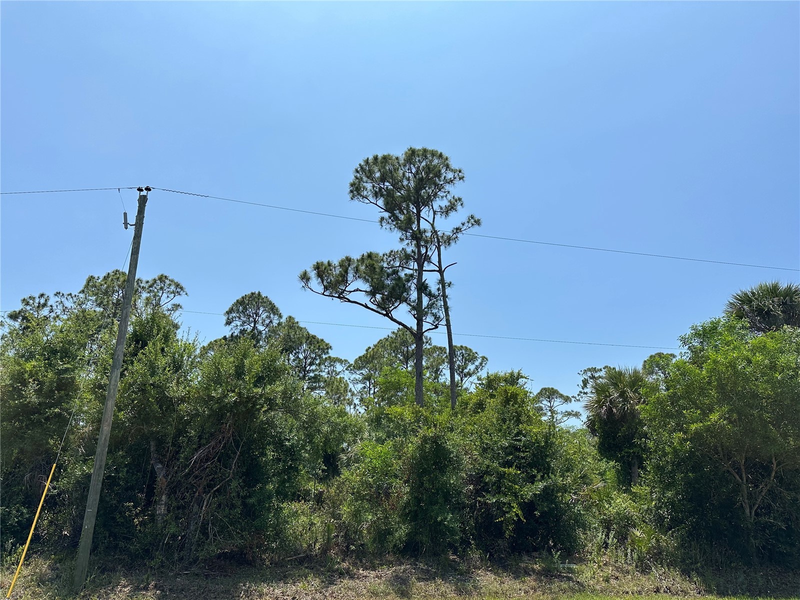 12091 Green Gulf Boulevard Punta Gorda FL 33955 N6140181 image3