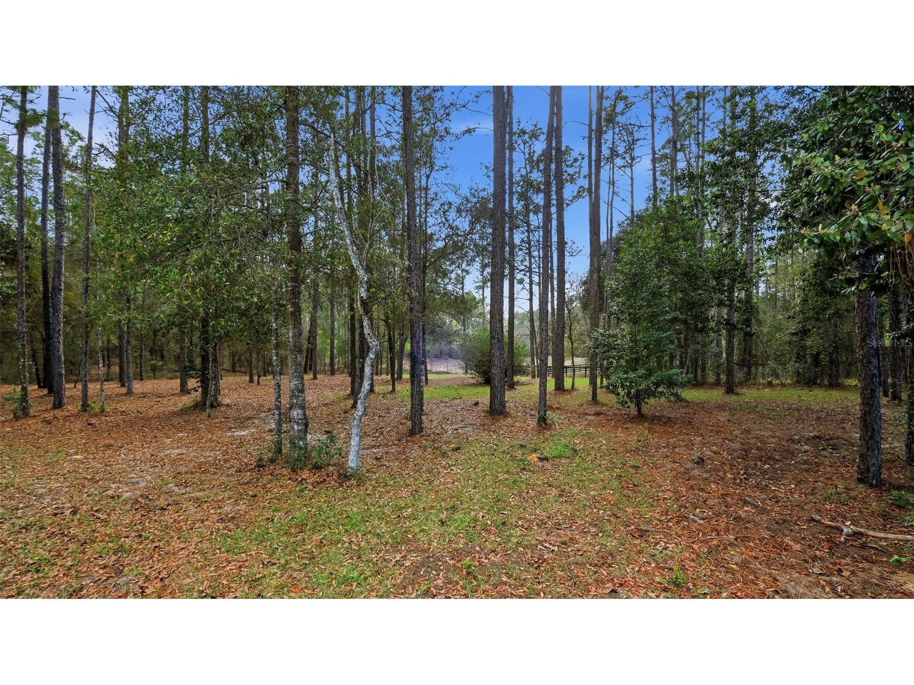 12092 S Hyacinth Point Floral City FL 34436 W7883595 image66