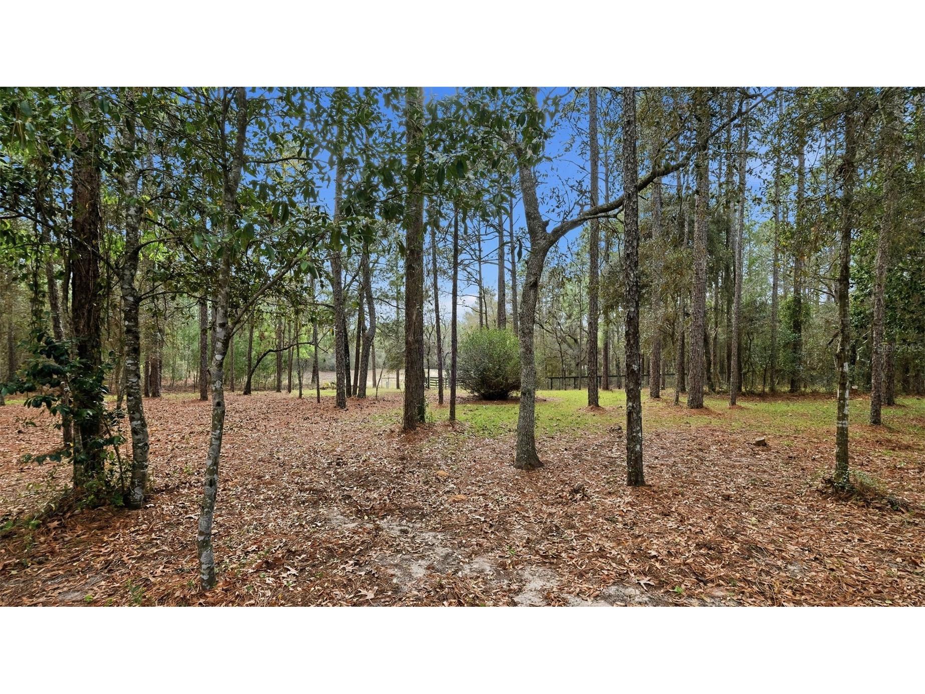 12092 S Hyacinth Point Floral City FL 34436 W7883595 image67