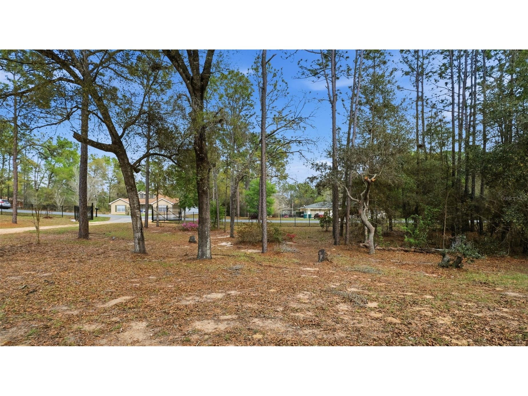 12092 S Hyacinth Point Floral City FL 34436 W7883595 image68