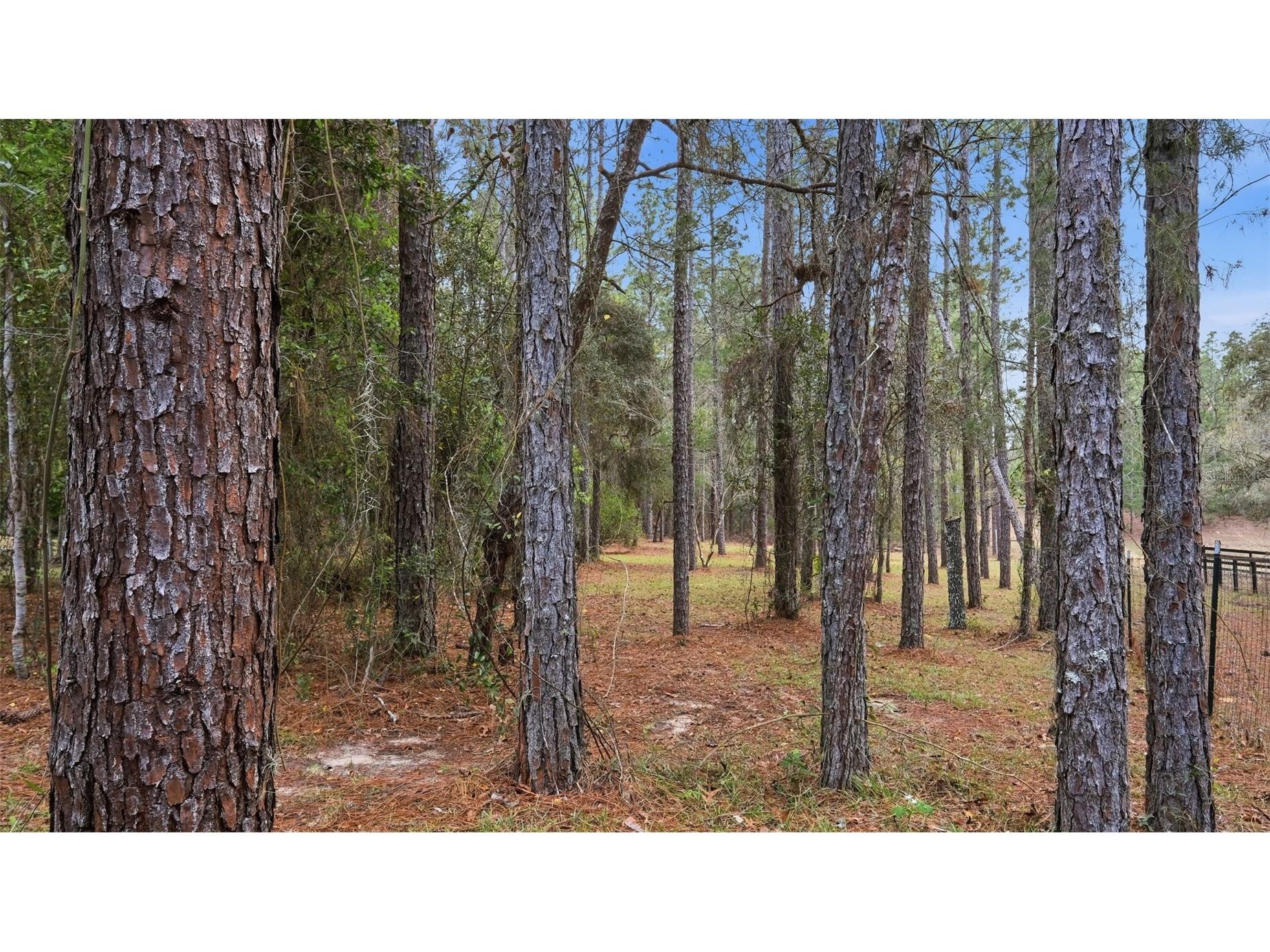 12092 S Hyacinth Point Floral City FL 34436 W7883595 image70