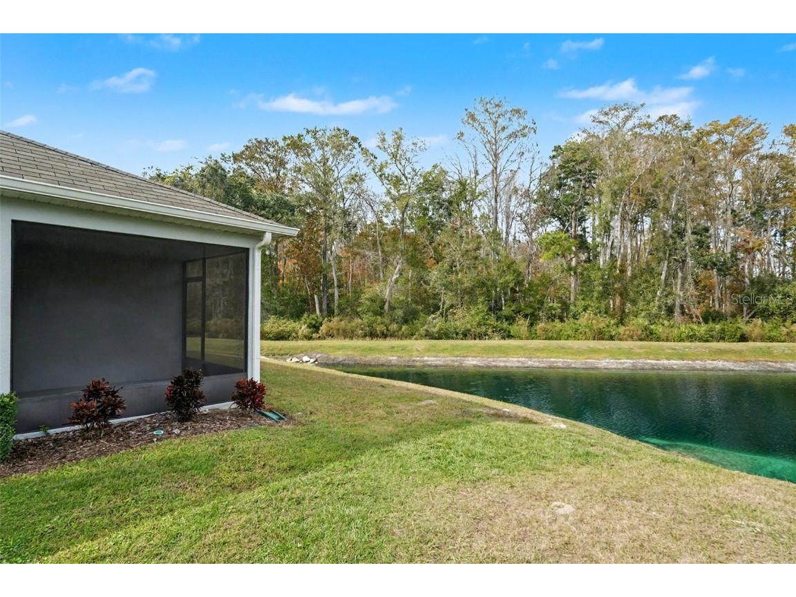 12094 Grizzly Lane New Port Richey FL 34654 TB8457240 image37