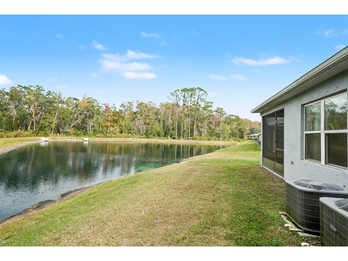 12094 Grizzly Lane New Port Richey FL 34654 TB8457240 image38