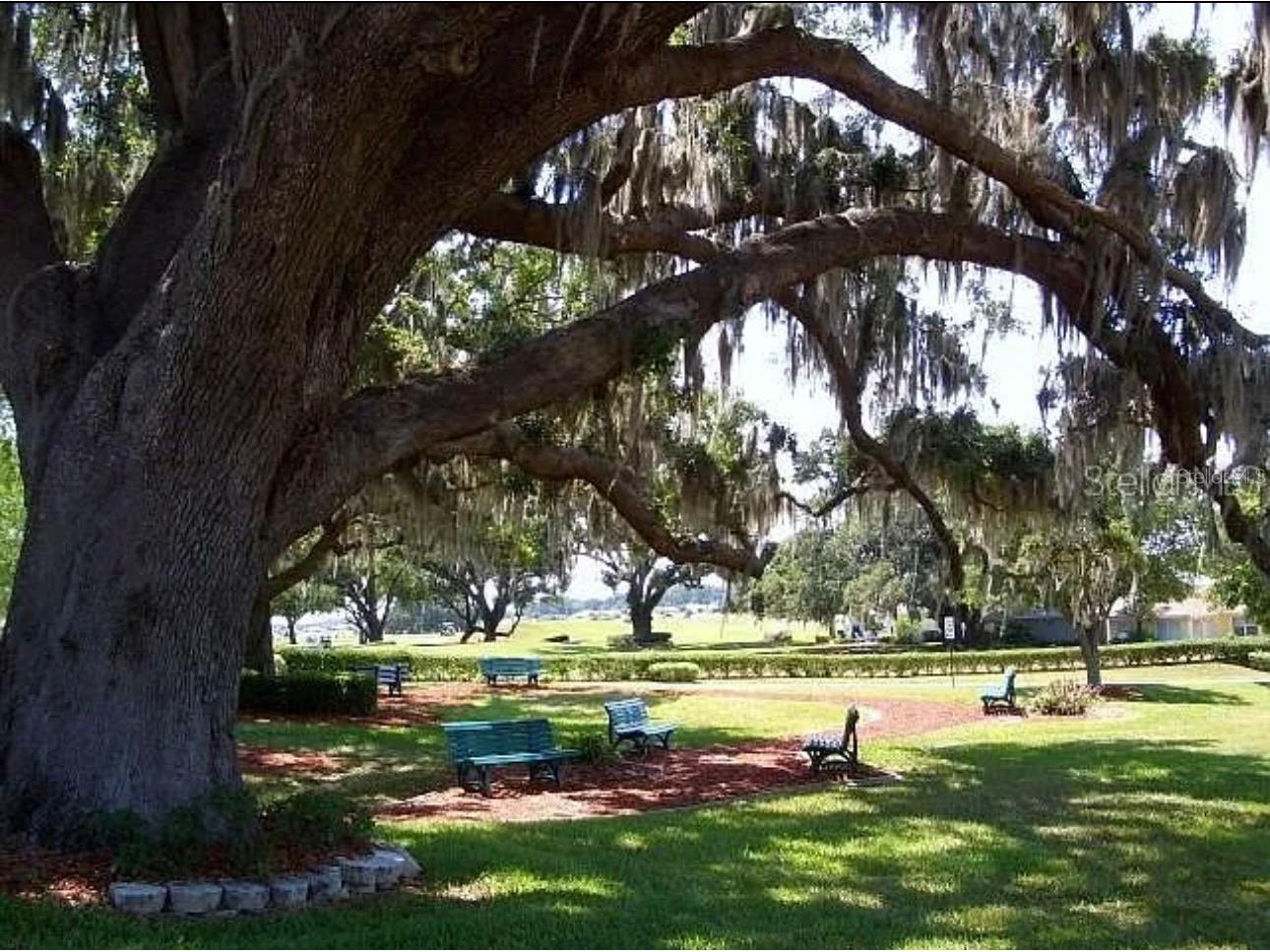 12095 SE 178th Street Summerfield FL 34491 G5105283 image15