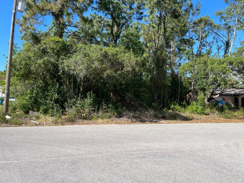 12099 Laramore Street Spring Hill FL 34608 T3440846 image1