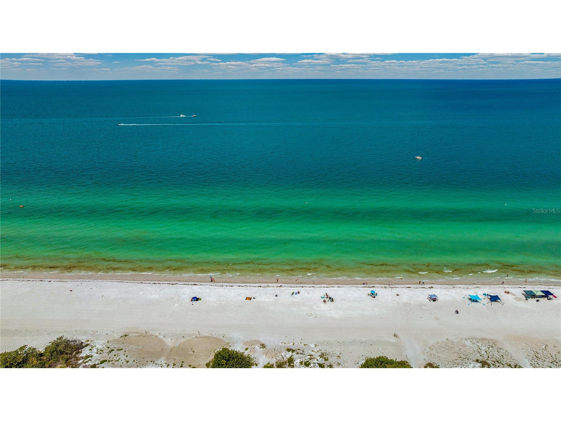 121 10th Ave Indian Rocks Beach FL 33785 TB8502578 image25