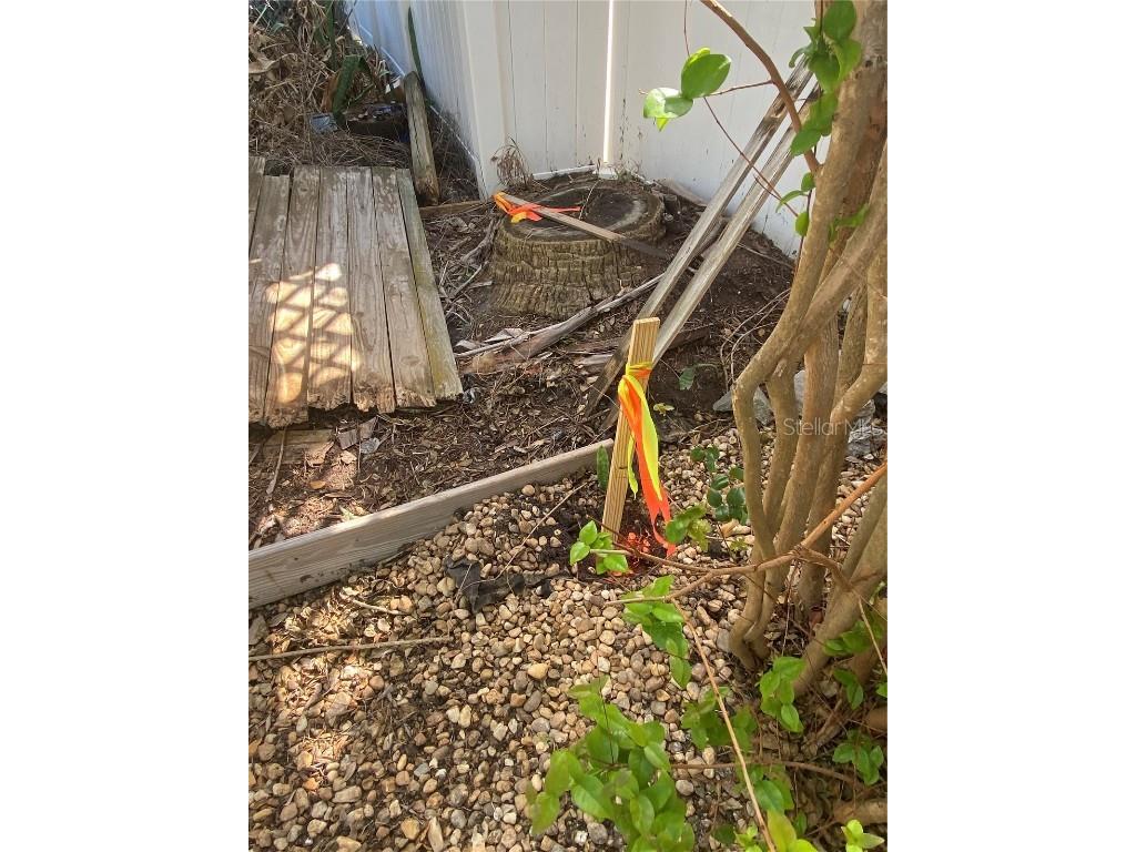 121 13th Avenue Indian Rocks Beach FL 33785 TB8461071 image2