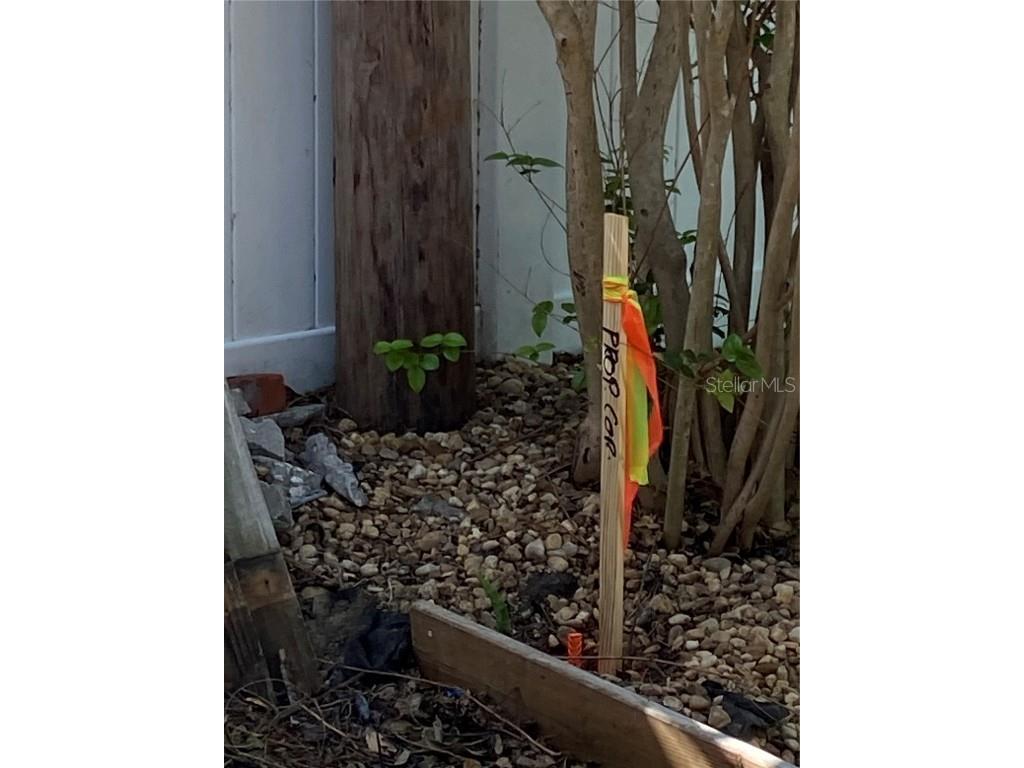 121 13th Avenue Indian Rocks Beach FL 33785 TB8461071 image3