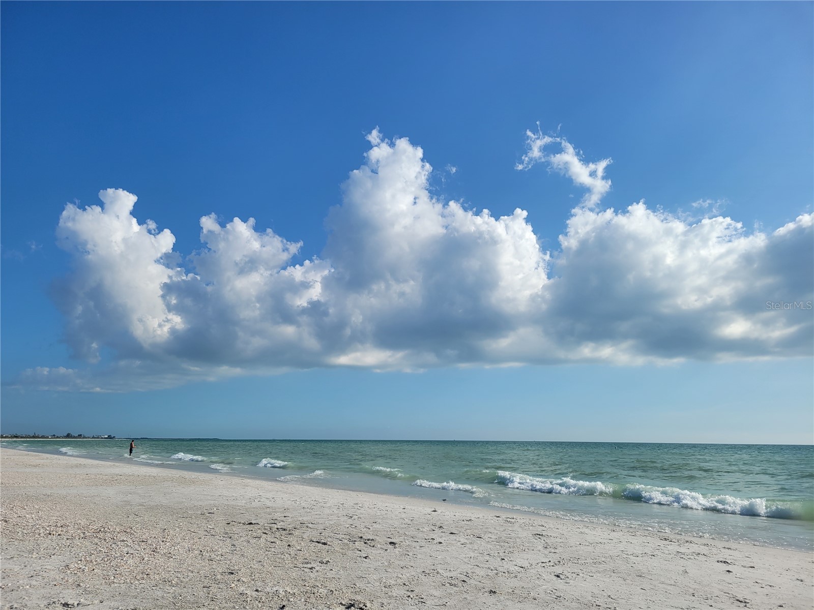 121 46th Avenue #2G Saint Pete Beach FL 33706 TB8503733 image39