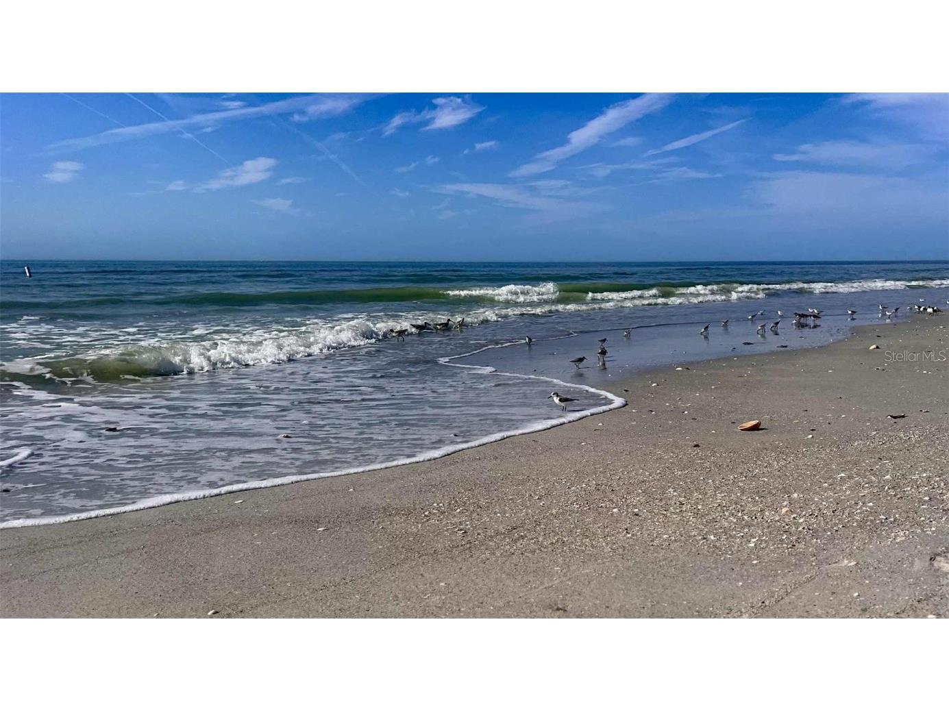 121 99th Avenue Treasure Island FL 33706 - INTRACOASTAL WATERWAY TB8435457 image53