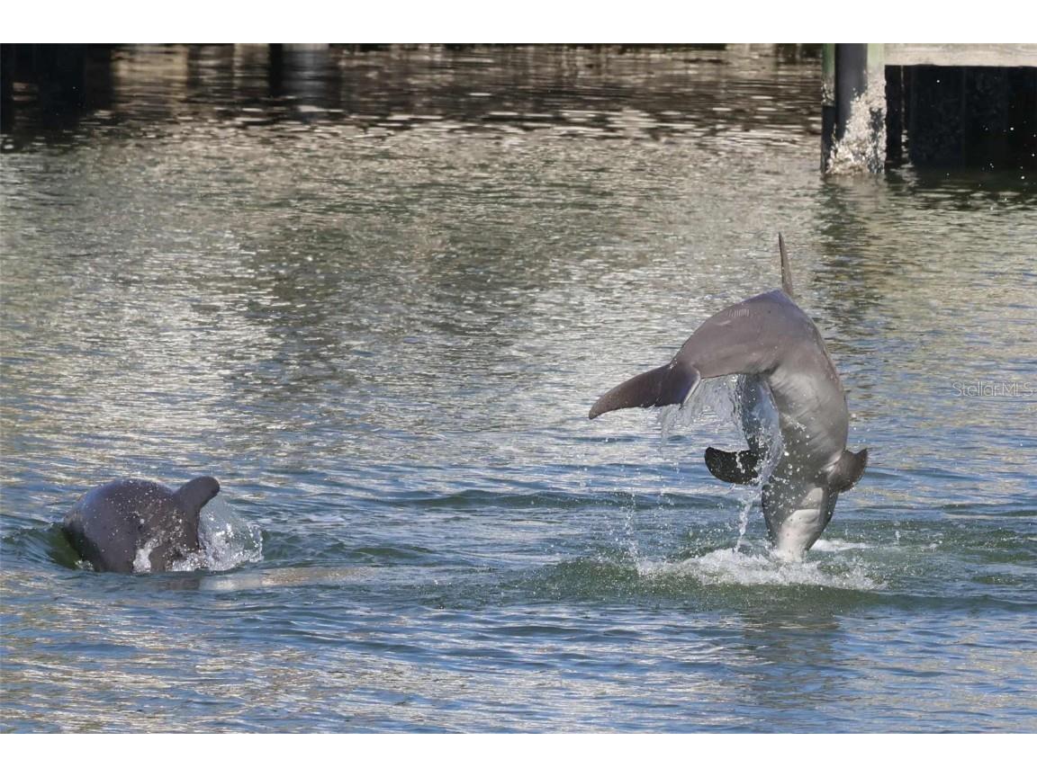 121 99th Avenue Treasure Island FL 33706 - INTRACOASTAL WATERWAY TB8435457 image57