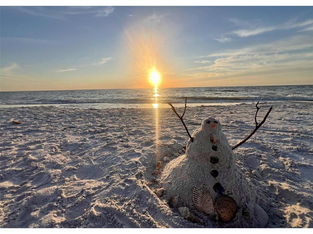 121 99th Avenue Treasure Island FL 33706 - INTRACOASTAL WATERWAY TB8435457 image59